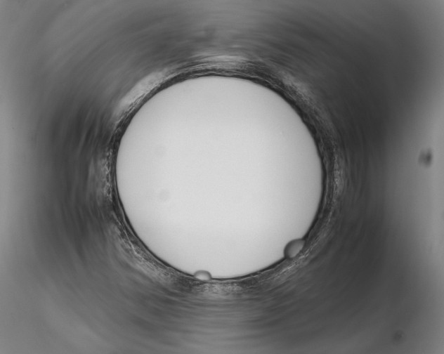 X0000115721354200912101419
