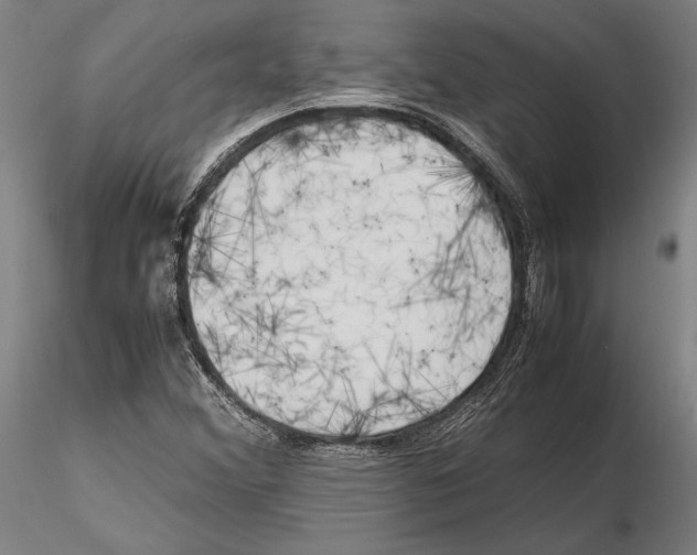 X0000115721356200912101419