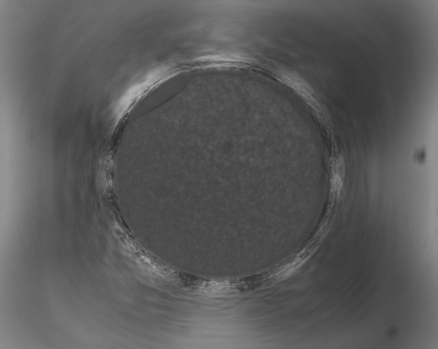 X0000115721357200912101419