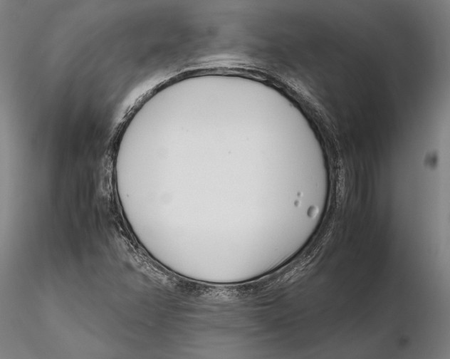 X0000115721358200912101419