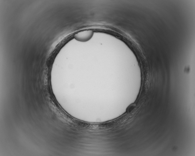 X0000115721360200912101419