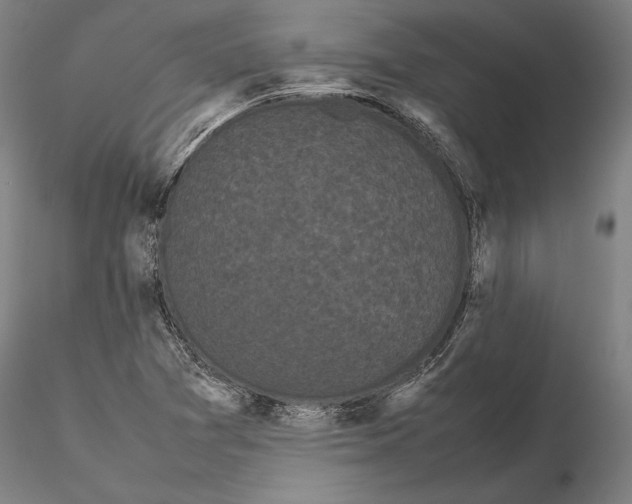 X0000115721361200912101418