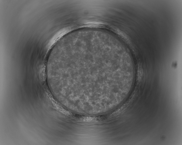 X0000115721362200912101418