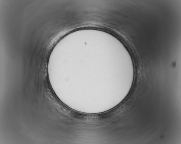 X0000115721363200912101418