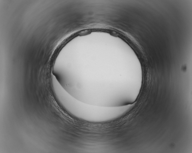 X0000115721364200912101418