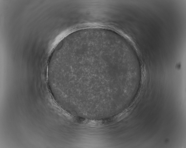 X0000115721365200912101418