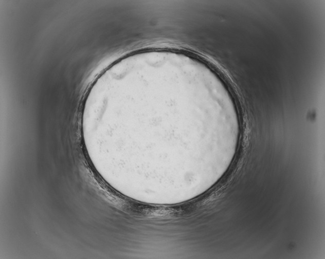 X0000115721367200912101418