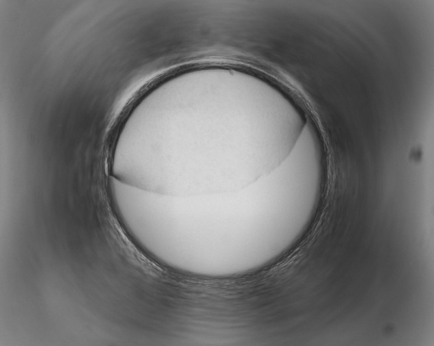 X0000115721368200912101418
