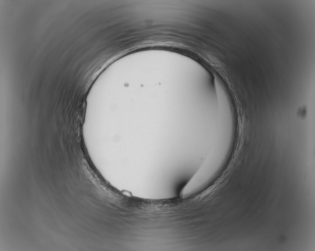 X0000115721369200912101418