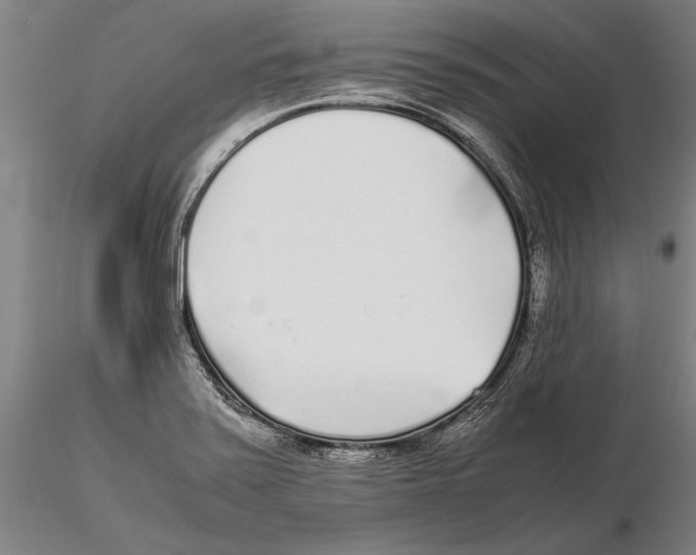 X0000115721371200912101418