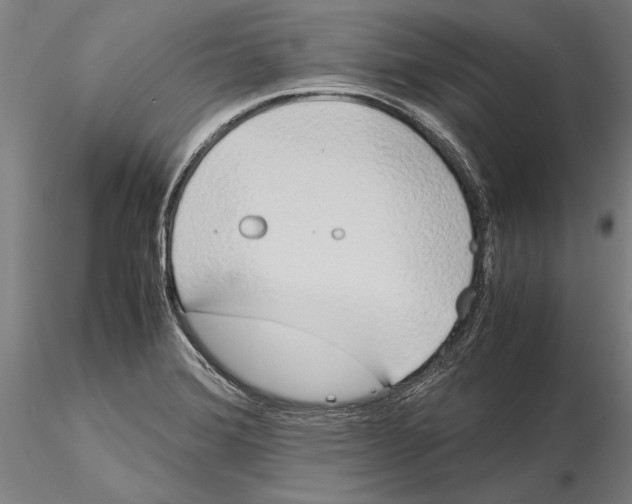 X0000115721372200912101418