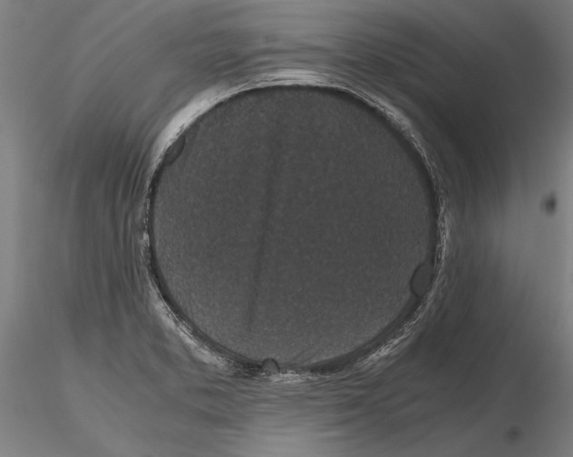 X0000115721373200912101418