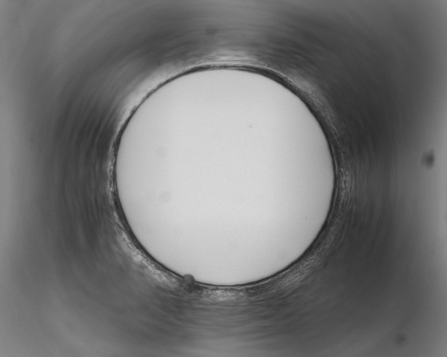 X0000115721374200912101418