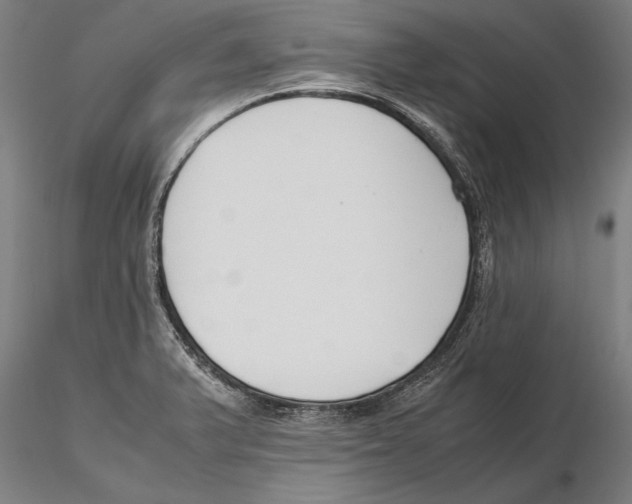 X0000115721375200912101418