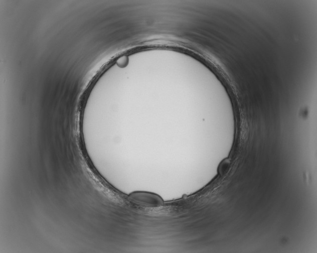 X0000115721376200912101418