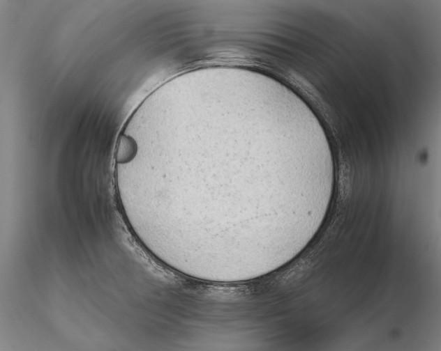 X0000115721378200912101418