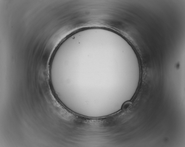 X0000115721380200912101418
