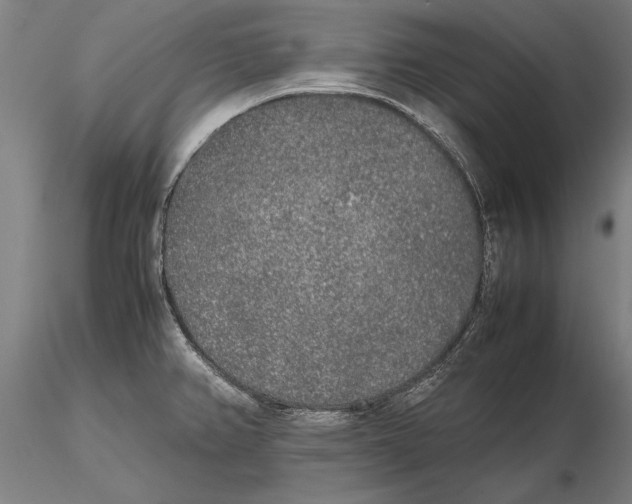 X0000115721382200912101418