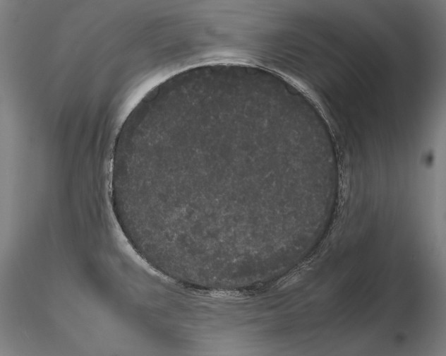 X0000115721383200912101418