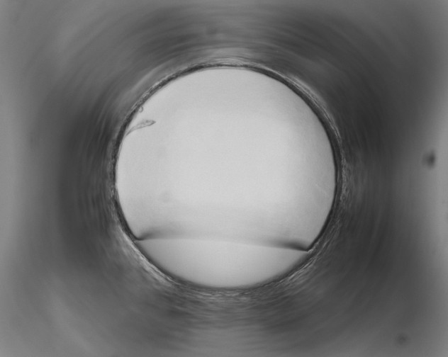 X0000115721384200912101418