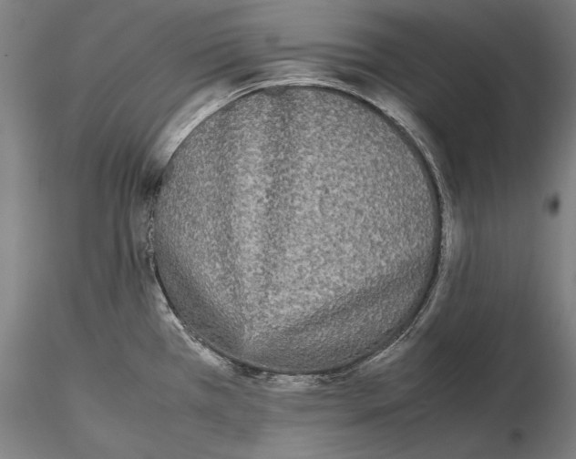 X0000115721385200912101418