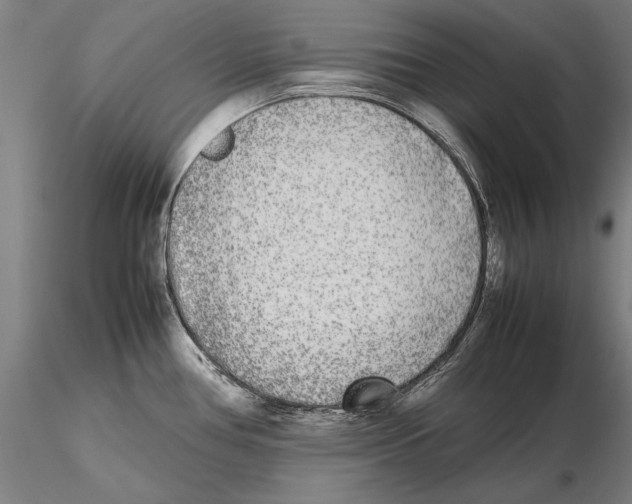 X0000115721386200912101418