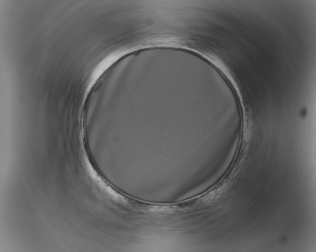 X0000115721389200912101418