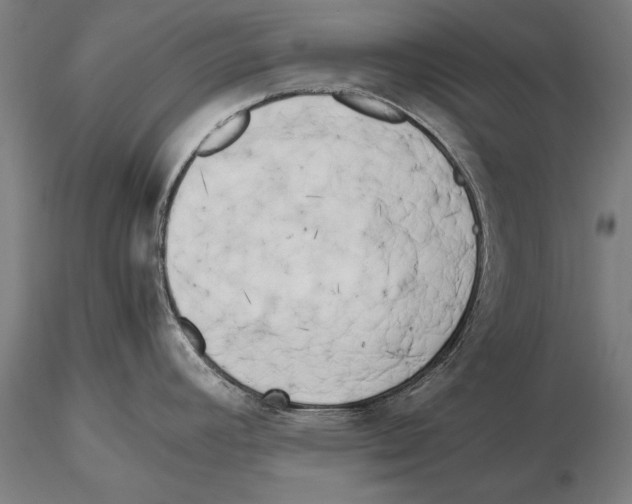 X0000115721392200912101418