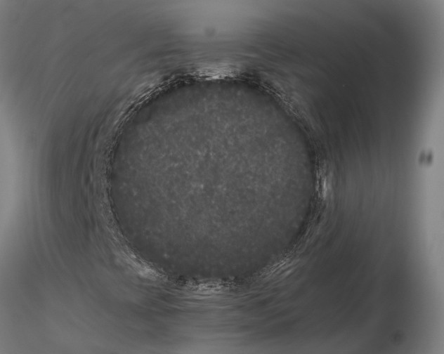 X0000115721393200912101417
