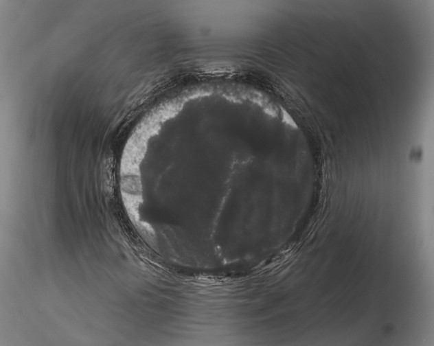 X0000115721394200912101417
