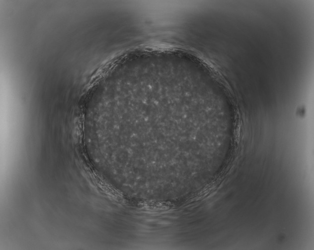X0000115721397200912101417