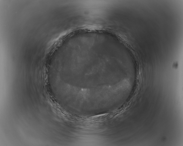 X0000115721398200912101417
