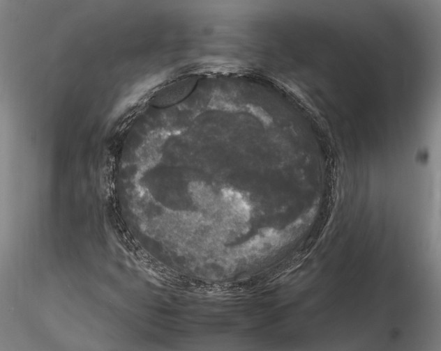 X0000115721399200912101417