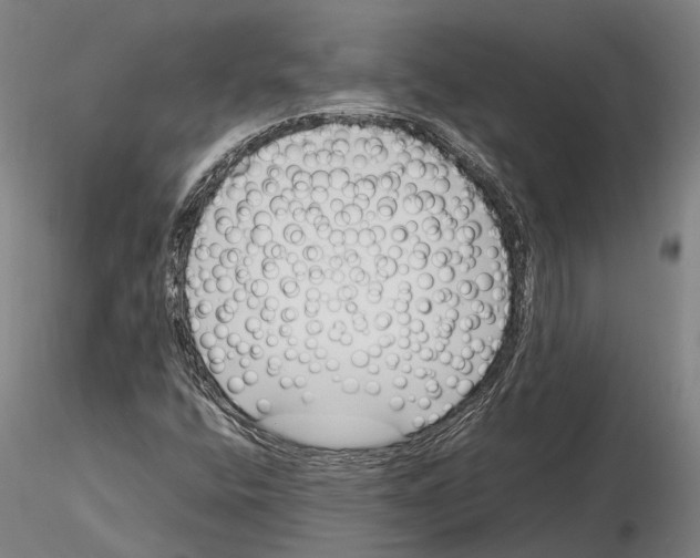 X0000115721400200912101417