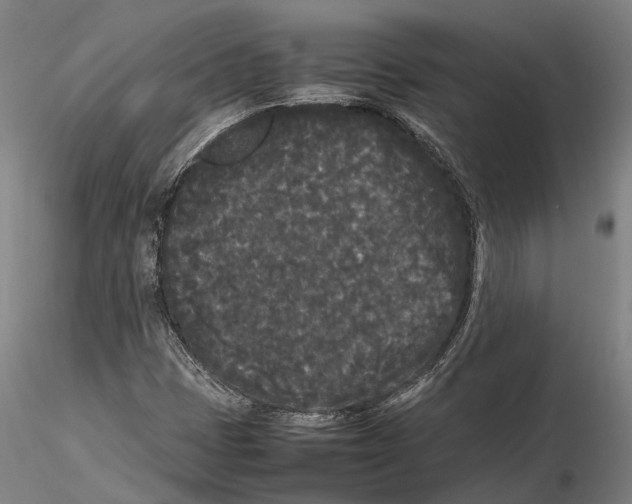 X0000115721401200912101417