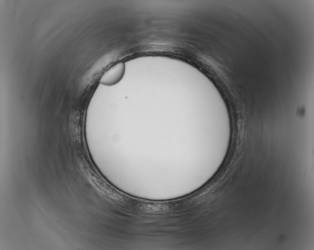 X0000115721403200912101417