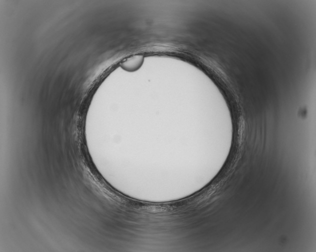X0000115721404200912101417