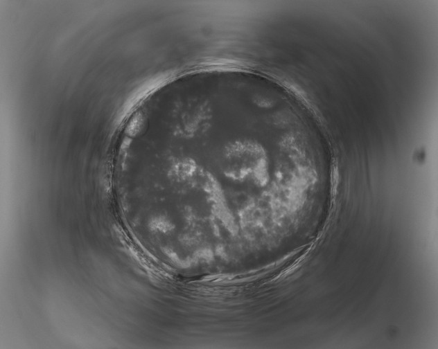 X0000115721405200912101417