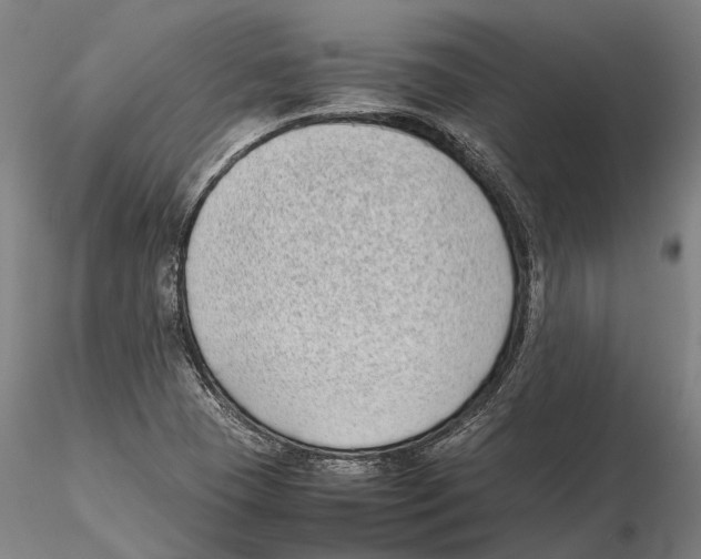 X0000115721409200912101418