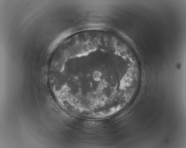 X0000115721411200912101418