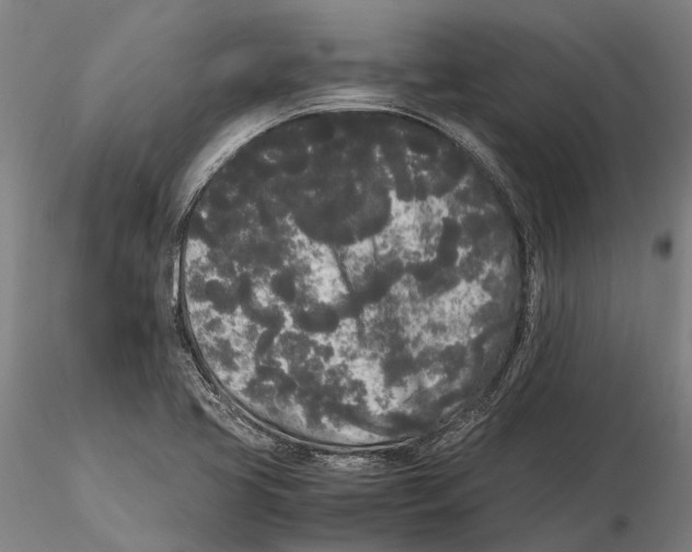X0000115721413200912101418