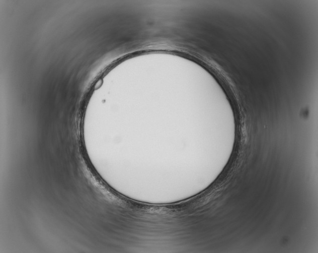 X0000115721416200912101418