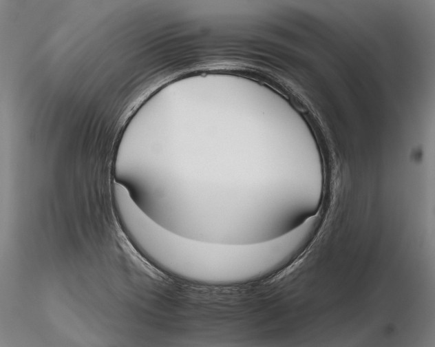 X0000115721417200912101418