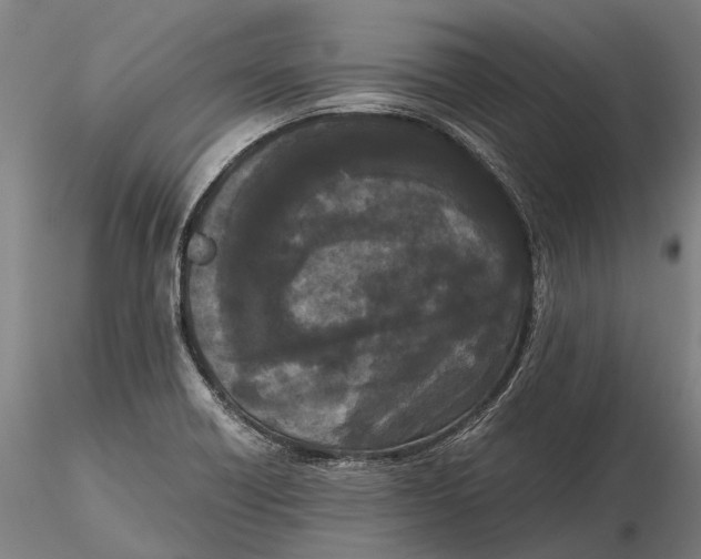 X0000115721418200912101418