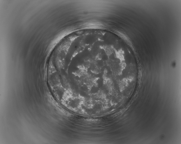 X0000115721419200912101418