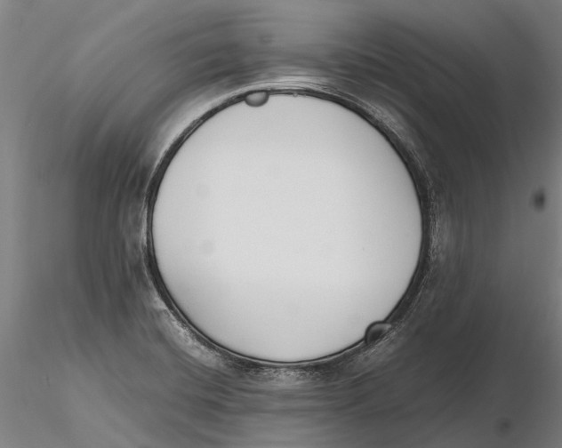 X0000115721420200912101418