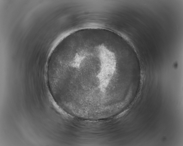 X0000115721421200912101418