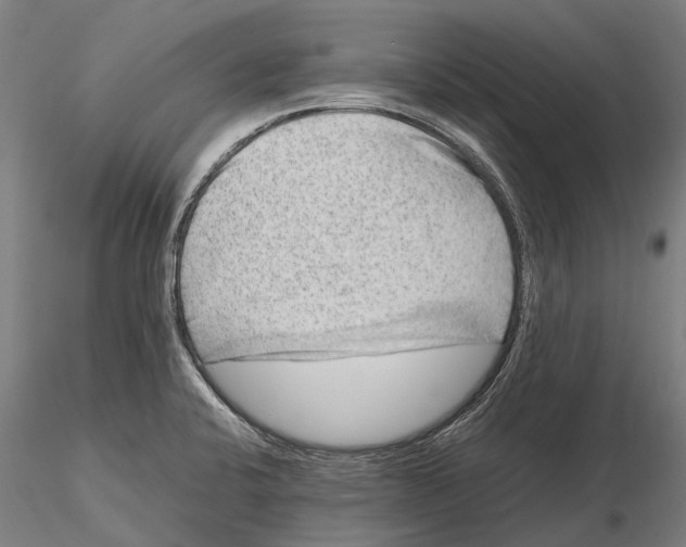 X0000115721424200912101418