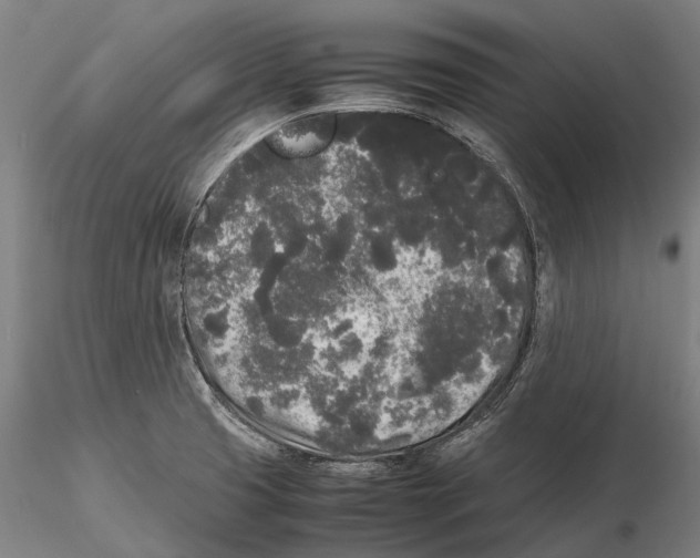 X0000115721425200912101418