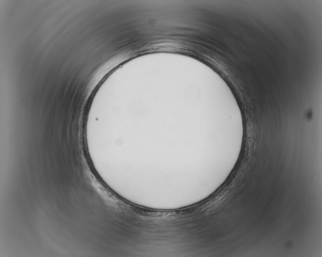 X0000115721426200912101418